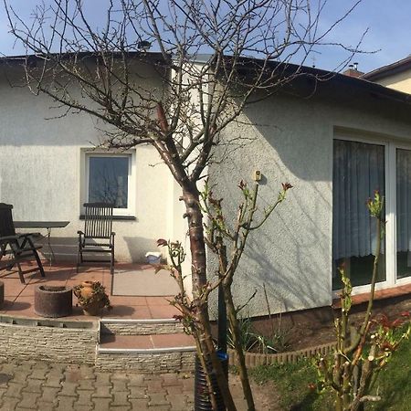 Ferienhaus Auf Usedom Zinnowitz Zewnętrze zdjęcie